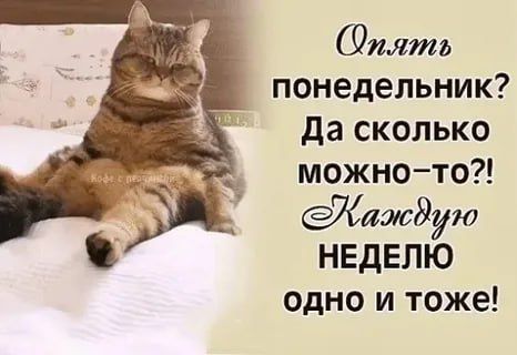 ������ ����!. ���� �������� ������ ������! ����������� ���� �������������