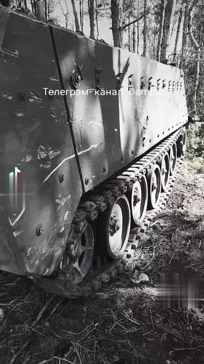 ������ �������: �������� �� ����������� ����������� ���������� ���������������� M113 ������������� ������������