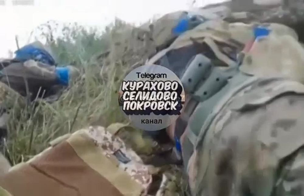 ������ �� ��� ��� ��������� �� ������� �������� ���. �������������� ������ � ���� ������������ ������������ ����������� �� ����� ������� ���������� �����