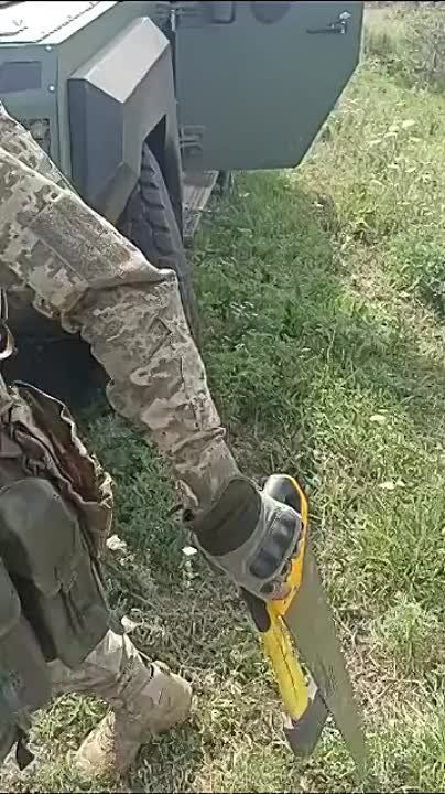 ������ �������: � �������� ������������� ������� ���������� ����������