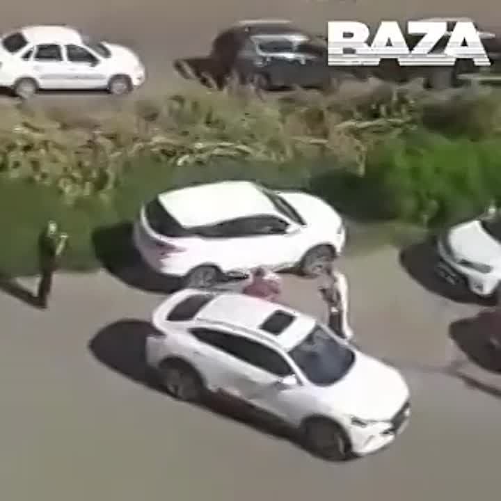 ������, �������� ��������