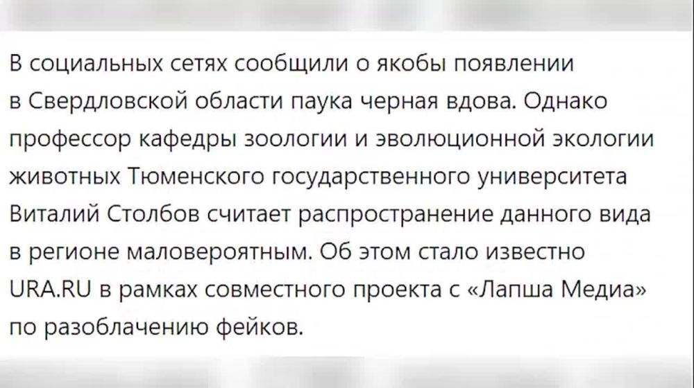 ���������� ����. 08.08.2023. ������ �������� ����� � �������� ����� �������� � ����� ��������� �������� �������, ���...