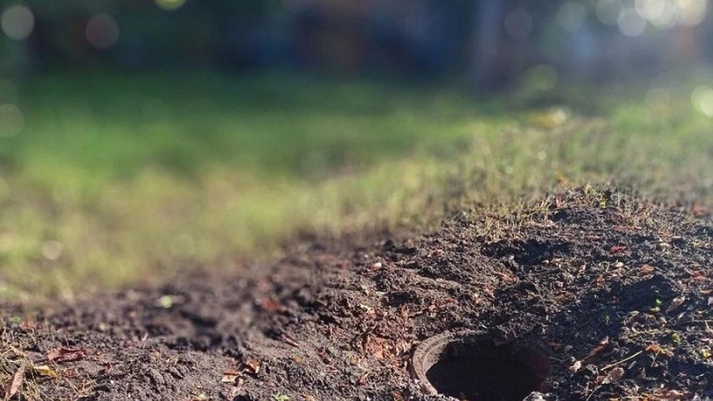 ��� ������� ������� �� �������� ������ �� ������� ���