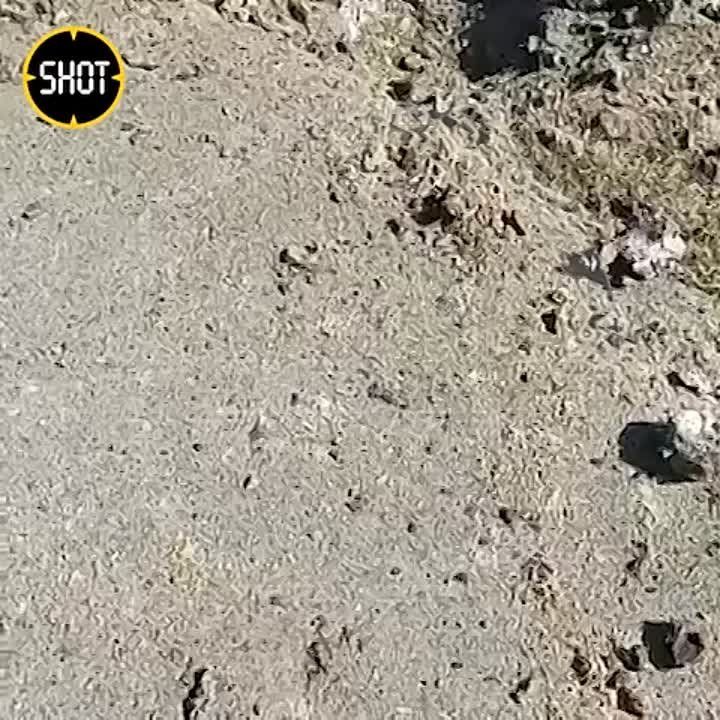 ������ ��� ��������� ���������� ��������� � ������� ������� ���������� �������������