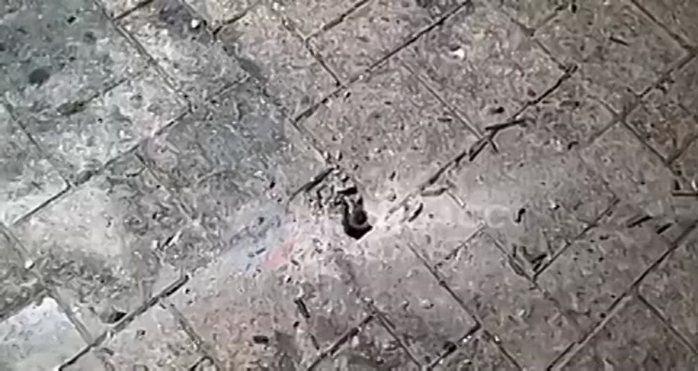 � �������� ������ ������� ����� �������� ���������� ��������� ��� ����� ����� ���