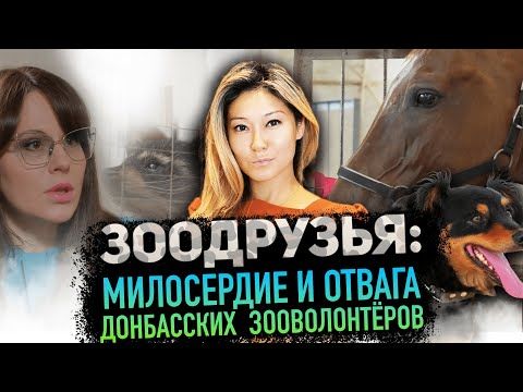 ЗООДРУЗЬЯ: Милосердие и отвага Донбасскиих зооволонтёров – так называется 30-минутный фильм, который сняла известная телеведущая федеральных каналов и автор YouTube-канала «Встала и пошла» Марина Ким
