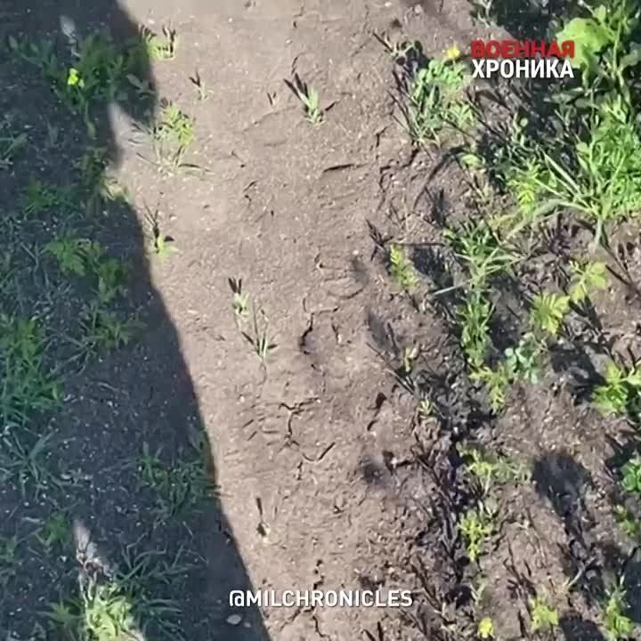 ����� ����� ����������� � ������� ��� � ������ ��������