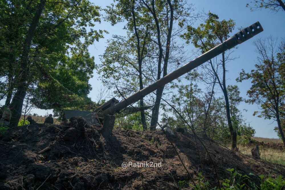 ������ ��������: ����������, ���-����, ������� �� ������