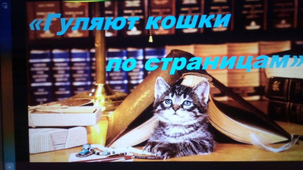 � ����� ����, ����� � ������ ����� ���� ���� ������� - �������� �������