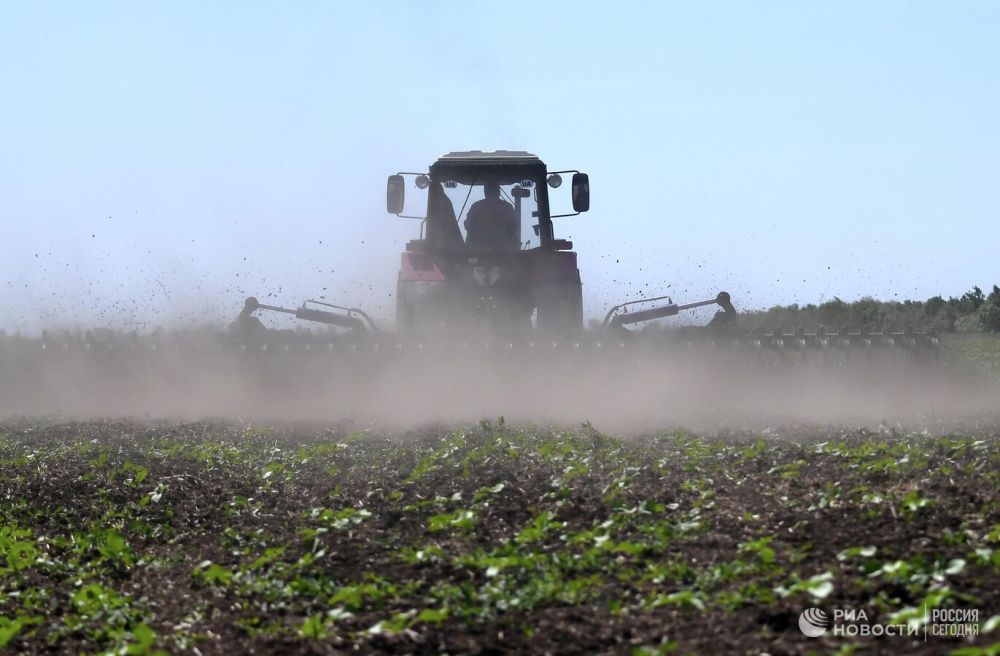 � ��� ������ ����������� ������������ �����