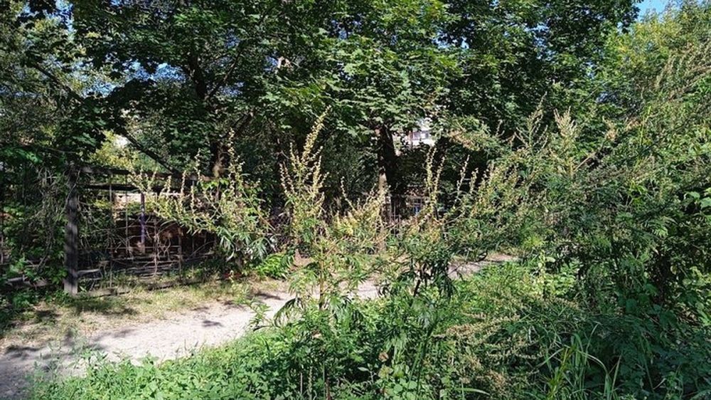 ���� � ��� �������� ����� ���� �������� ���� ��������