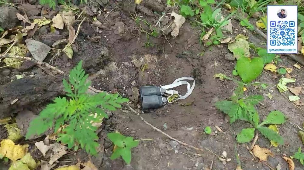 ������ ���������: ������������� ������������ �������� �� ������������� ���������� ����������� ���������� ����� �������������