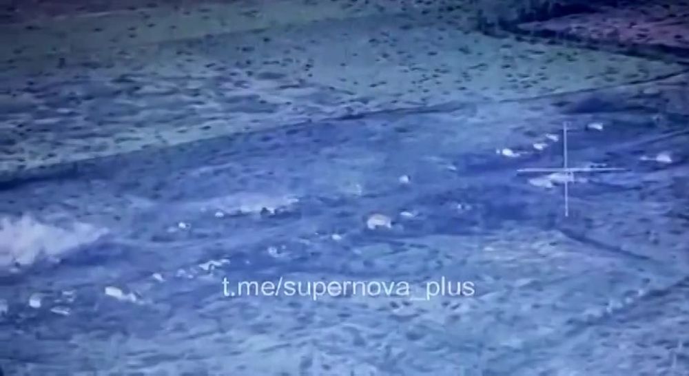 ������ �������: ��� ��� �������� ��������� � ������ �������� ������