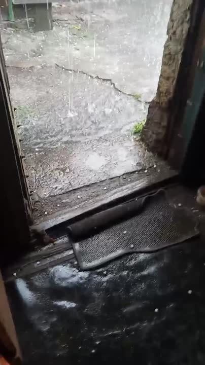 ���� ������� � �������.. ������ � �������� ������ ������� �����