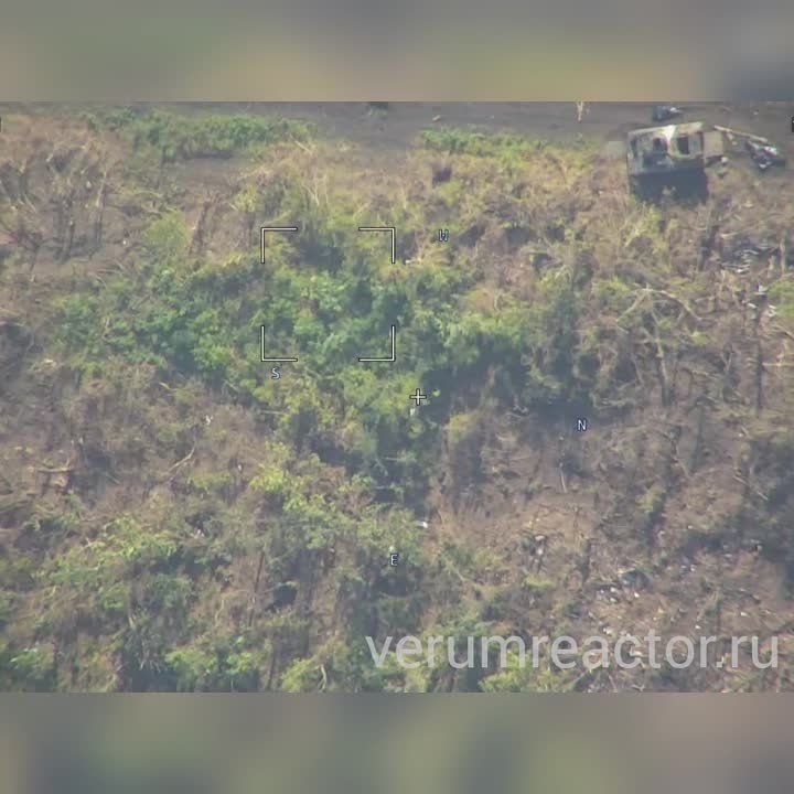 ������� �������: ���� ������������ �� ����������� ����������� ������ ������������ ���������� ��������