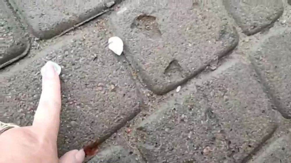 ���� ��������: . ���... ���� � �������, ����� ����, �� ��������