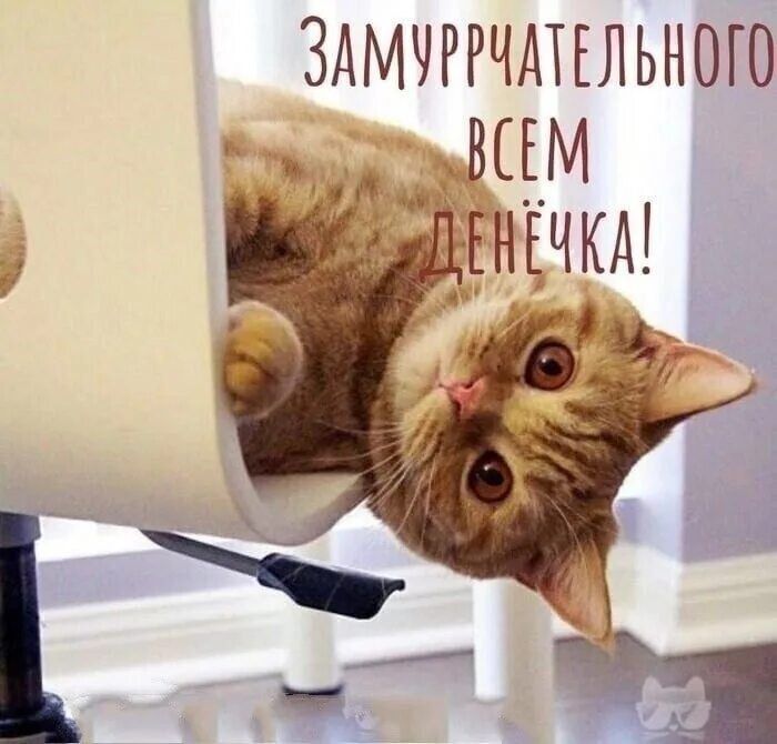 ������ ����, ������! ���� ������� ����