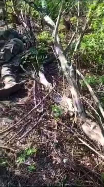 ��� �� ���������� �������: 127 ������� ���������� �������� ���