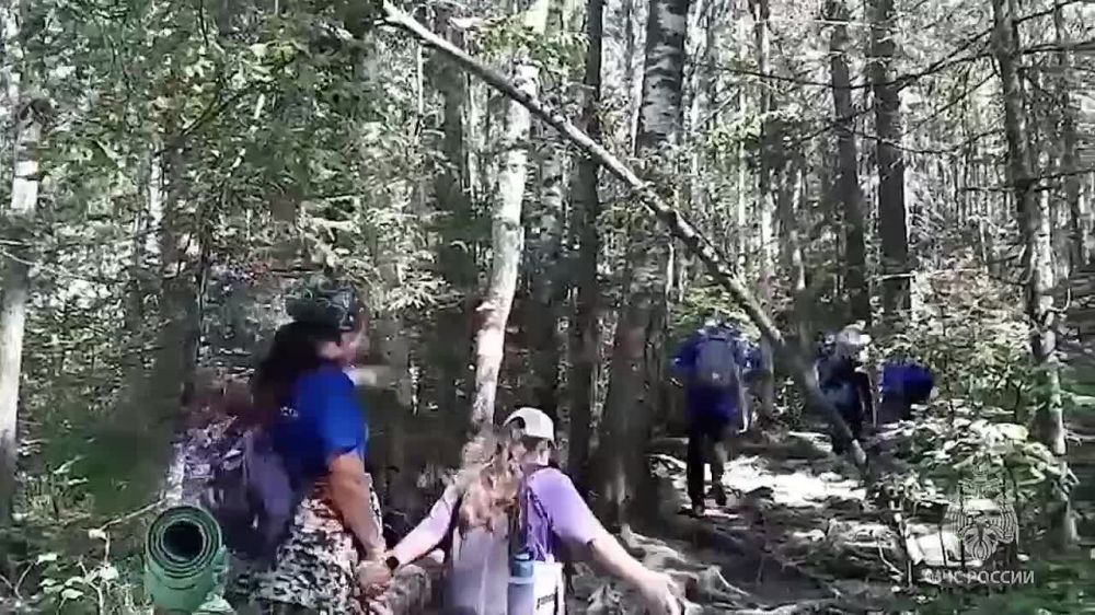 � ����������� ������� ���������� II ������������� ���� ��������� ������� ������ ������������