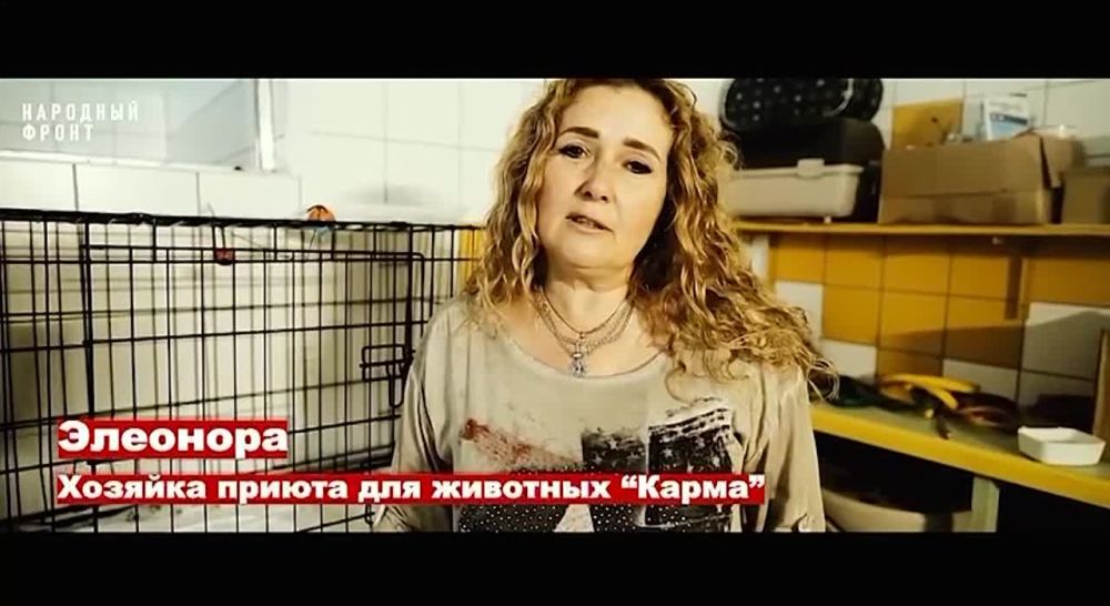��������� ��������� ������ ��������� ������������ ���� � ���������� �����