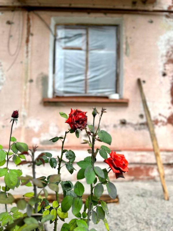 ������� �������: ������ - ������ ��� �����: