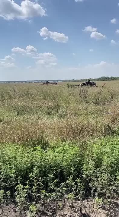 ������������ � ������ � �. ������� �� ����������� ����������� ������������ ��� ������� Dambiev