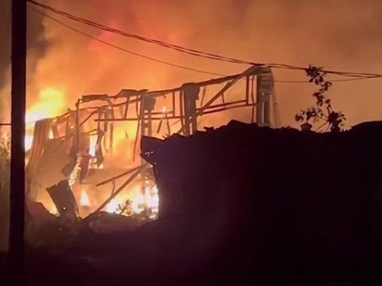 ����� - ����: �������� �������� ���������� ����� ������������� ����� ������