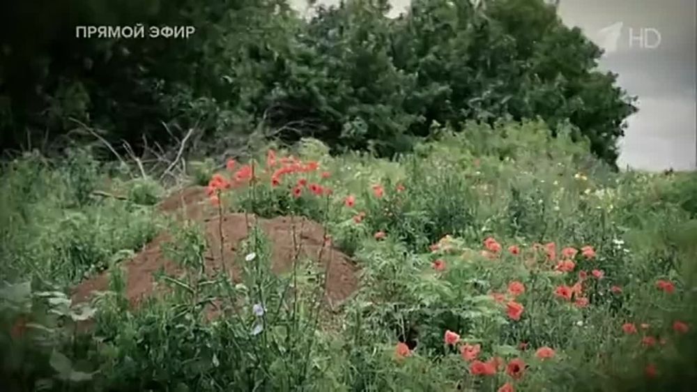 ��������� ������ ����� ���������� ������� ��� ����� ������� ������ ������������� � ������� ����������� ������������� ������������������ ��������