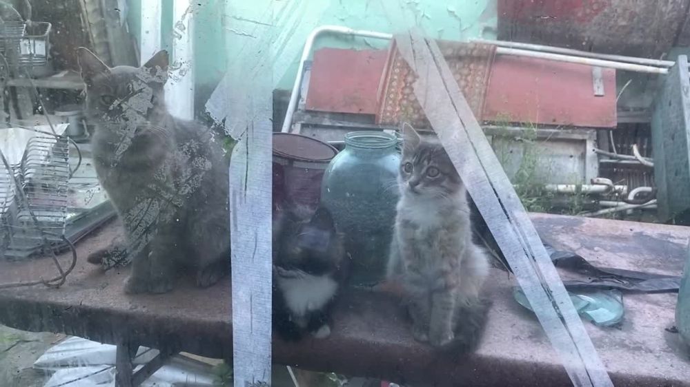 ������� ������: ������, �������� ��� "�� �������": ����! �������! ��� 6.30! �� ������ ����������� �� ��������� ������! ��� ������� ����� ����������!