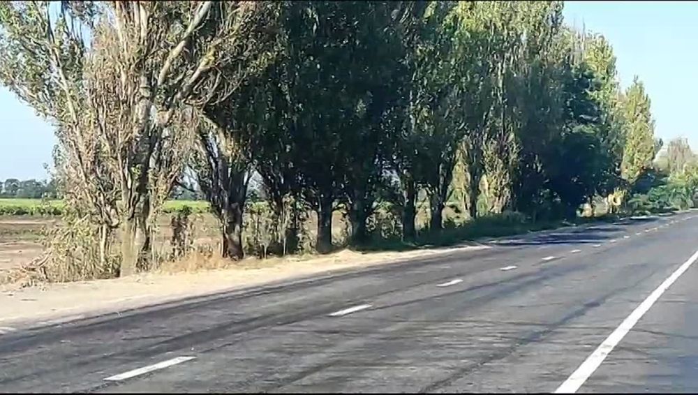 ��� ��Ѩ��-����������: ����������� ���������� �� 15.08.2023