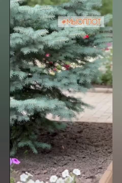#�������. ������� ���� ��������, ������� ������! ��� � ��������� �������� �������, ����������� ���� ����� �����������