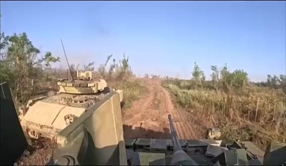 ����������� ����������� � ��������� � ���� ���������� ��� Bradley