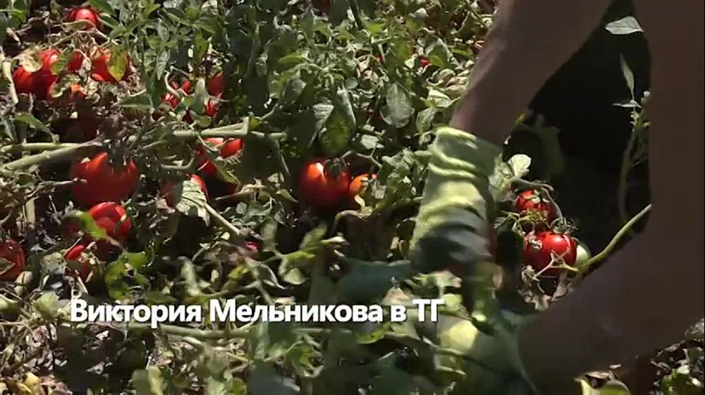 �������� ����������: ������ �������� ������ �� ����� ���. ��������� � ������ � ������� ���������, �� � ��� ����� ���...