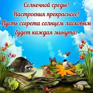 ������ ����!. ������� �����! ����������� ���� �������������