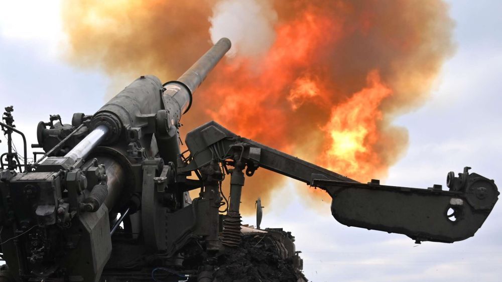 ������������ Paladin ��� ������ � ���� ���: ����� ������ ���������� ���