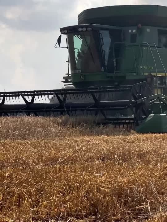 ����� ����������: ���� ������� ����� �� ��������� ������� � ��������� ��������