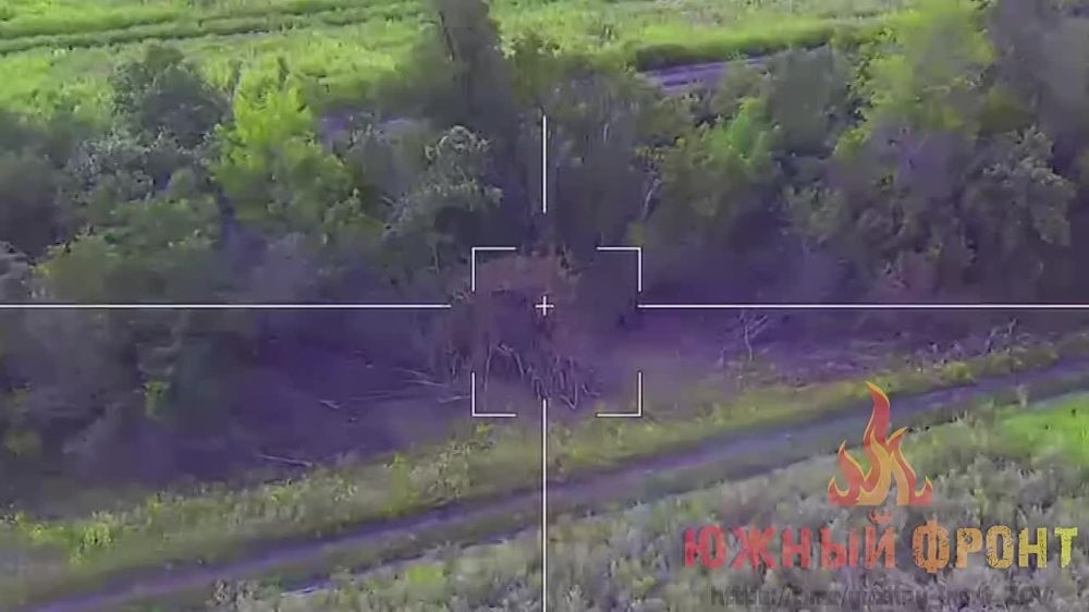 Виталий Киселев: Кадры поражения «Ланцетом» замаскированной 152-мм гаубицы Д-20 ВСУ на Артёмовском направлении