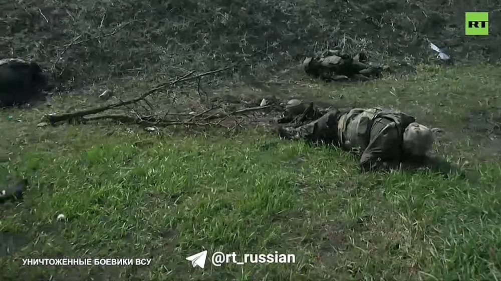 ������ ����������: ������ 2022 ����, ��� �� �������� ���������