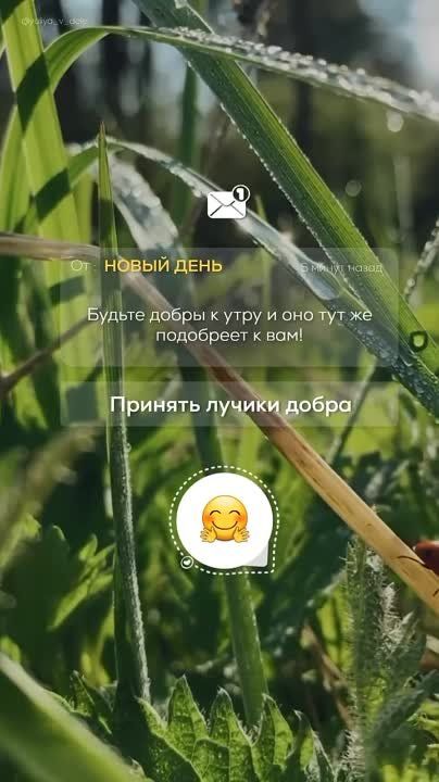 �������� ������: ������ ����!