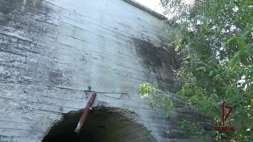 ����� �����: ����� � ���������� ����������� ������������ ������������ ������� � ���