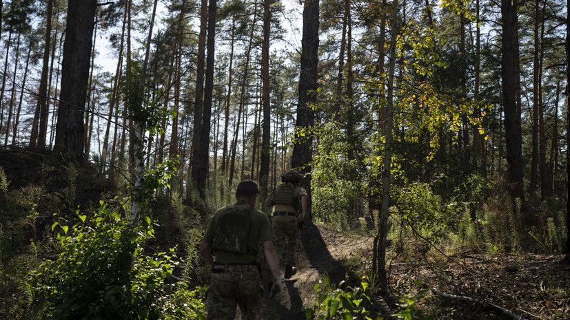 �����: ��� ���������� �������� ����� �� ������ ������������ �����������