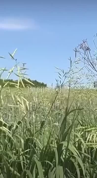������ ������ ����� ����������� �����