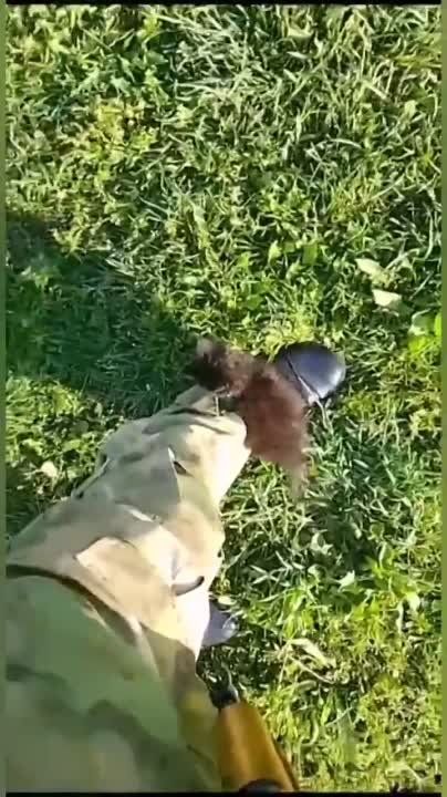 ������� �������� ������� ������ ������ �� ������������ ������� �� ���� ������� ���������� �������������