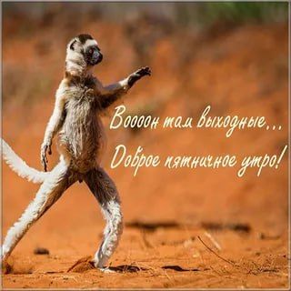 ������ ����!. ���, ������ ��������! ����������� ���� �������������