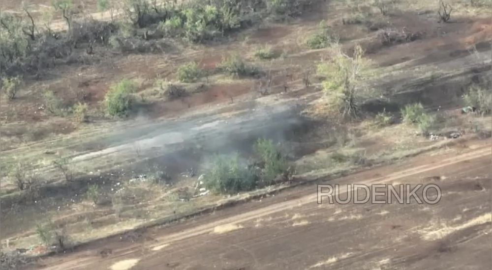 ������ �������: ������ ����� ������ ���������� 4 ������� �� ����������� �����������