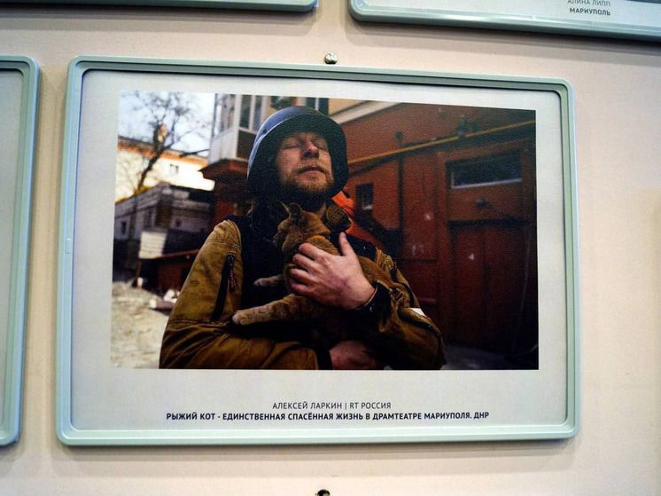 �������� �������� �������� �������� � �����������