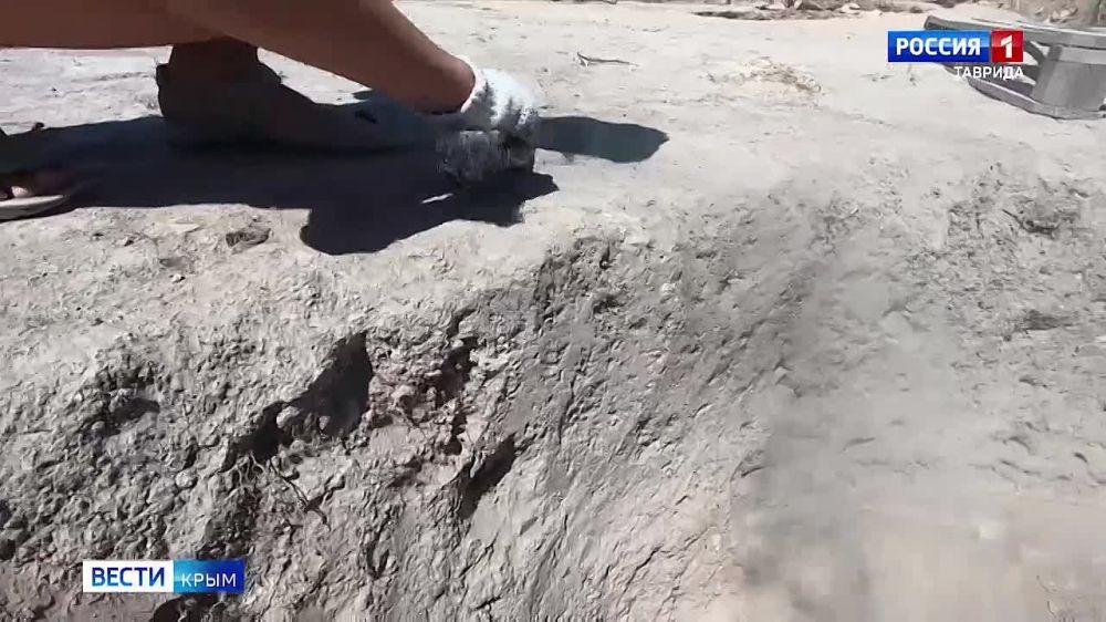 ����� �������������-������������� ��������� �������� ������