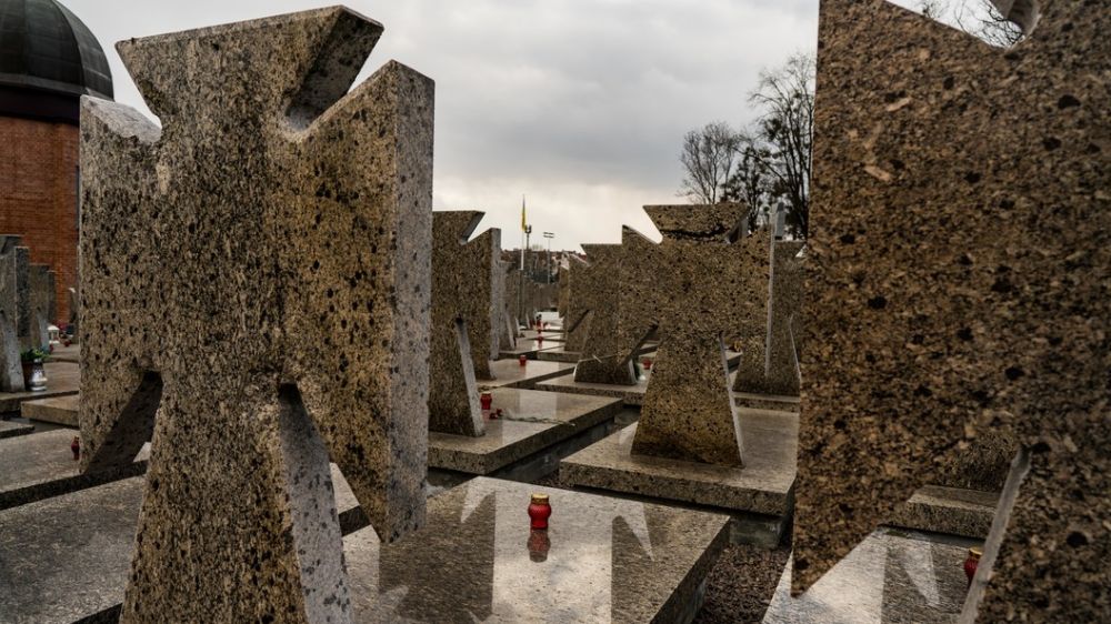 �����, ������� ������ � �����: ��������� ��������� ����������� �������� � ���