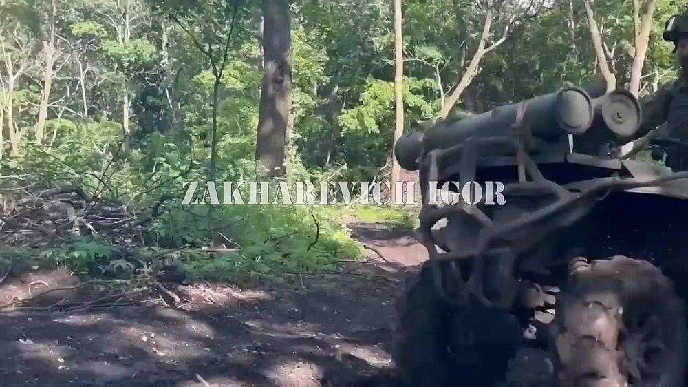 ����� ���������: ������� ���� �� ����� ,,������� ������" www.afina-music.ru
