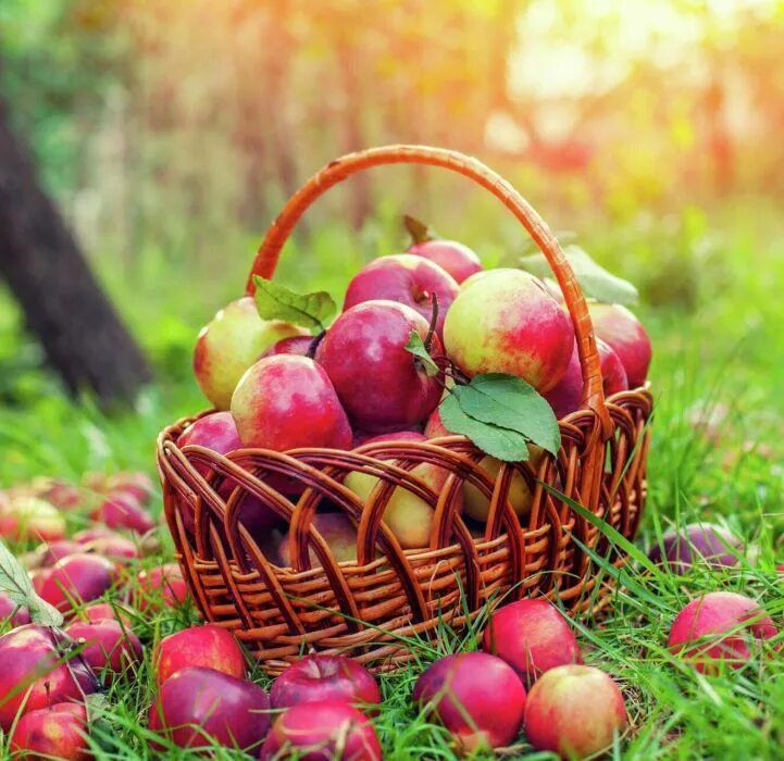 ������� ��������: ��������� ����������!. ������� ��������� ������������ � ���������� ������������ ��������, ����� ���������...